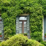 10 romantiske idéer til en uforglemmelig date på altanen